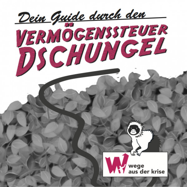 guide_vermoegenssteuer-dschungel_2013-cover